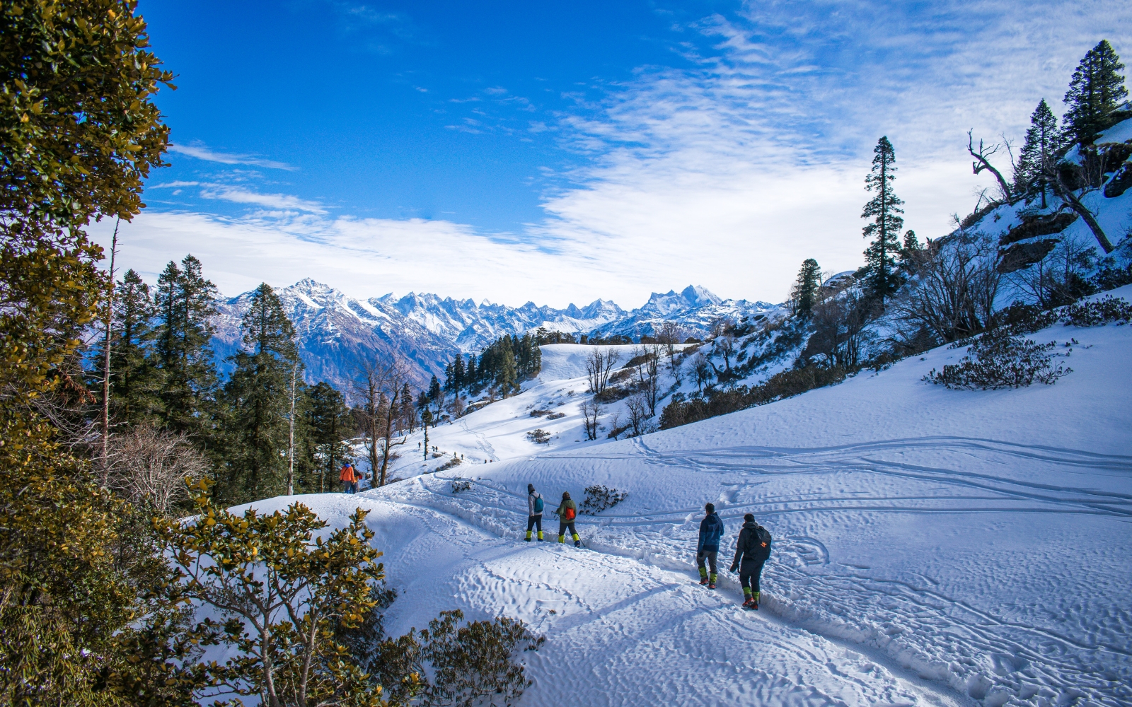 Manali travel bus
