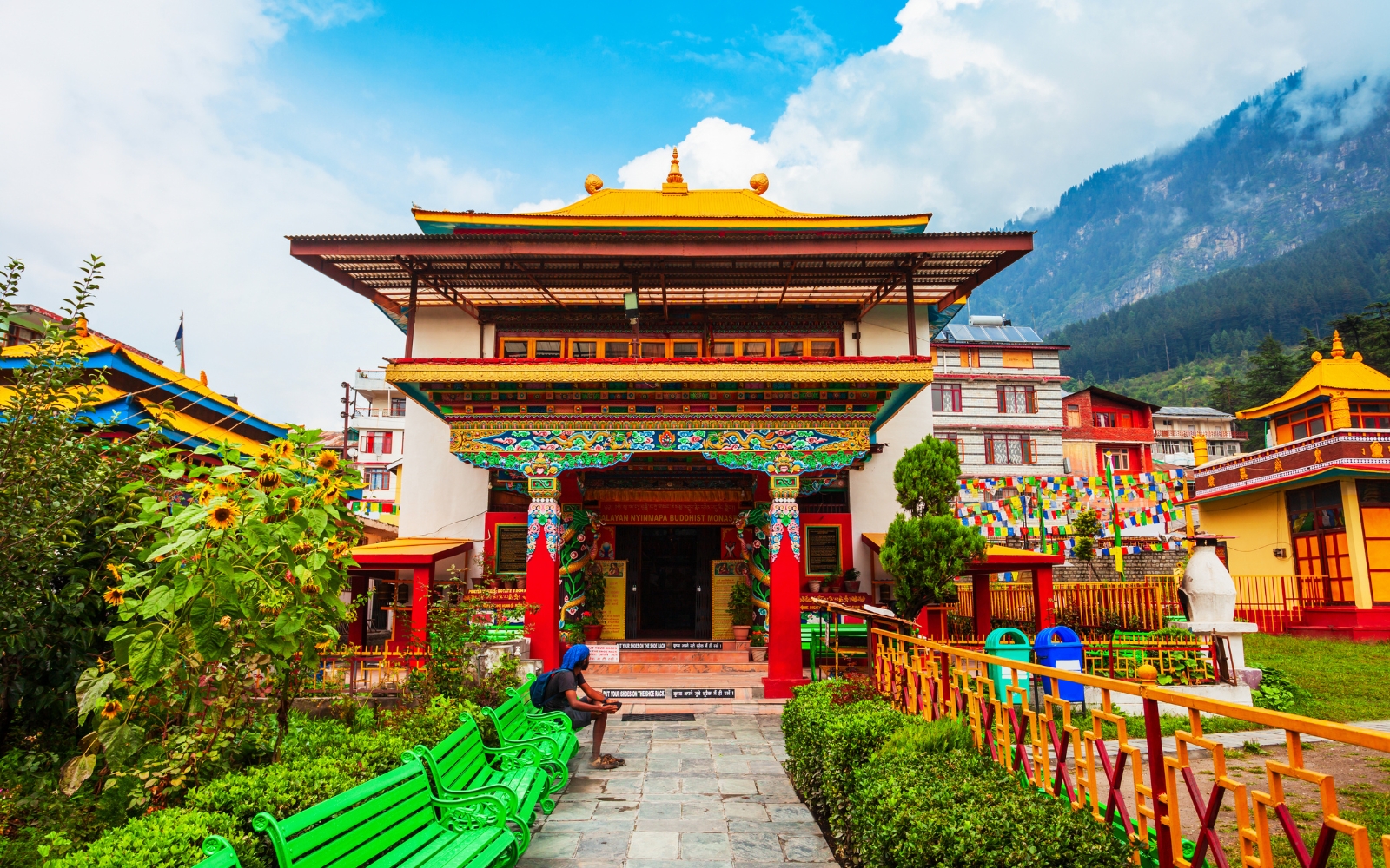 Bus service to Manali from Delhi